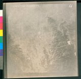 ���Ƚs��:51-100