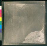 ���Ƚs��:51-100