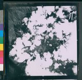 ���Ƚs��:53-053