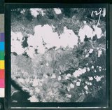 ���Ƚs��:53-053