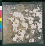 ���Ƚs��:53-057