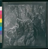 ���Ƚs��:53-057