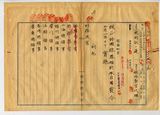 正題名:1921年外國旅券規則改正