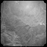 Ƚs:79P58