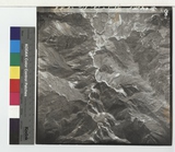 ���Ƚs��:58-019