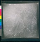 Ƚs:59-010