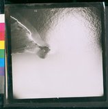 ���Ƚs��:60-012