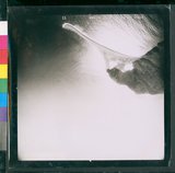 ���Ƚs��:60-012