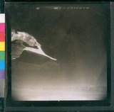 ���Ƚs��:60-012