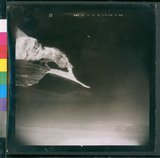 ���Ƚs��:60-012