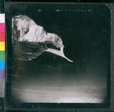 ���Ƚs��:60-012