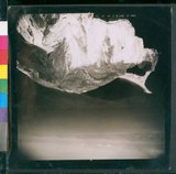 ���Ƚs��:60-012