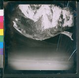 ���Ƚs��:60-012