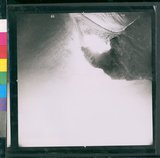 ���Ƚs��:60-012