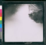 ���Ƚs��:60-012