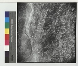 ���Ƚs��:60-022