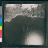 ���Ƚs��:60-039