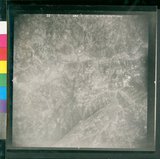 ���Ƚs��:60-041