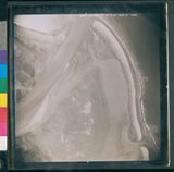 ���Ƚs��:60-058