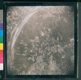 ���Ƚs��:60-058