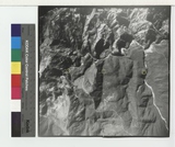 ���Ƚs��:60-061