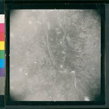 ���Ƚs��:60-062