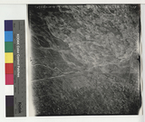 ���Ƚs��:2W8G-20