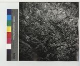 ���Ƚs��:2W8G-20A