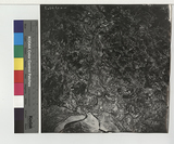 ���Ƚs��:2W8G-20A