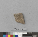 �򪫡G�X��L�����ⳳ����