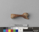 �򪫡G�Q�t�Ѱ�