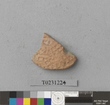 �򪫡G���L�����ⳳ����