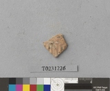 �򪫡G���L�����ⳳ����