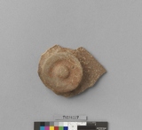 �򪫡G�ŹV�w���\��