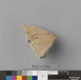 �򪫡G�w������