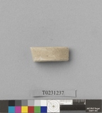 �򪫡G�d�賳��