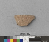 �򪫡G�X��L�����ⳳ����