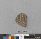 �򪫡G�X��L�����ⳳ����