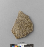 �򪫡G���V�V�w������