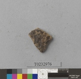 �򪫡G�t�ҦL�����ⳳ����