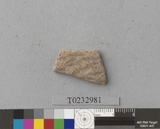 �򪫡G�X��L�����ⳳ����