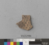 �򪫡G���L�����ⳳ����