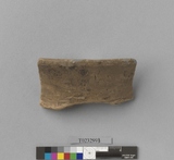 �򪫡G�׹������ⳳ�f�t