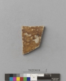 �򪫡G�ŹV�w������