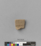 �򪫡G���I�����ⳳ���f�t