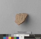 �򪫡G�X��L�����ⳳ����