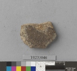 �򪫡G���ⳳ����