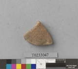 �򪫡G���ⳳ����