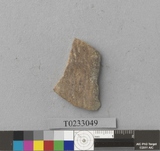 �򪫡G÷�����ⳳ����