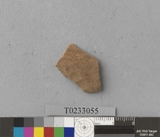 �򪫡G�X��L�����ⳳ����